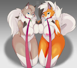 dusk lycanroc from nintendo by skulkers