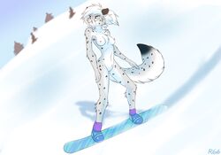 anthro blue_eyes breasts chest_tuft felid female fur genitals grey_body grey_fur hair hi_res mammal nipples nude pantherine pink_nipples pink_nose pussy ruth66 snow snow_leopard snowboarding solo spots tuft white_body white_fur white_hair winter