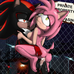 1:1 absurd_res accessory amy_rose anthro anus ass balls barefoot bite biting_lip biting_own_lip black_body bodily_fluids breasts butt_grab chest_tuft cum cum_in_pussy cum_inside cum_on_balls cum_on_leg cum_on_penis dash-the-cheetah duo embrace erection eulipotyphlan eye_roll eyelashes female fence genital_fluids genitals hair_accessory hairband half-closed_eyes hand_on_butt hedgehog hi_res humanoid_genitalia humanoid_penis humanoid_pussy lifted looking_at_viewer looking_pleasured male mammal naked narrowed_eyes night nude open_mouth outside penetration penis pink_body plantigrade pussy red_eyes red_stripes self_bite sex shadow_the_hedgehog smile sonic_(series) sonic_the_hedgehog_(series) straight stripes tail_grab tuft vaginal_penetration