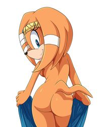 anthro ass back_boob bandage blue_eyes breasts butt_pose crown echidna eyelashes female fur hi_res holding_object holding_towel looking_at_viewer looking_back mammal monotreme nude orange_body orange_fur pose rear_view scittykitty simple_background smile solo sonic_(series) sonic_adventure sonic_the_hedgehog_(series) tiara tikal_the_echidna towel white_background