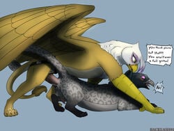 4:3 anal anal_sex anal_stretching avian backlash91 balls better_version_at_source big_penis bird blush conditional_dnp dildo domination duo erection felid female female_domination feral friendship_is_magic genitals gilda_(mlp) gryphon hasbro hybrid lion male male/female mammal my_little_pony mythological_avian mythology pantherine pegging penetration penis sex_toy strapon toying_partner