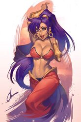 1girls belly belly_dancer chuck_pires dancer dark-skinned_female female female_only genie harem_outfit large_breasts long_hair ponytail purple_eyes purple_hair shantae shantae_(character) smooth_skin solo voluptuous