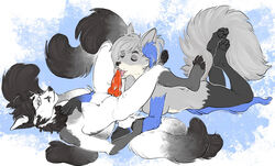 2020 4_toes 5_fingers anthro blue_body blue_fur breasts canid canine digital_media_(artwork) female fingers fox fur genitals gimka grey_body grey_fur mammal nude open_mouth penis toes tongue