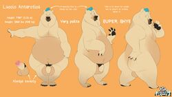 16:9 absurd_res anthro chubby_male genitals hi_res luccio_antartica male mammal model_sheet penis solo thatyellowrad ursid widescreen