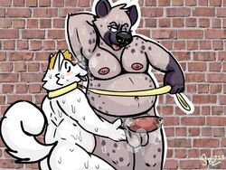 2020 4:3 anthro armpit_sniffing balls blep bodily_fluids canid canine canis closed_eyes collar domestic_dog duo erection excessive_precum flat_colors foreskin fur genital_fluids genitals hand_behind_head humanoid_genitalia humanoid_penis husky hyaenid leash leash_pull male male_only mammal moobs nipples nordic_sled_dog nude overweight overweight_anthro overweight_male penis photo_background pink_penis precum precum_string skippysbonezone sniffing spitz tan_body tan_fur tongue tongue_out uncut white_body white_fur