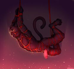 4_toes anthro balls bedroom_eyes biped bondage bondage bound digital_drawing_(artwork) digital_media_(artwork) feet felid feline fully_bound genitals hair hi_res lidded_eyes looking_at_viewer male mammal muhomora narrowed_eyes nude_anthro nude_male paws penis restraints rope rope_bondage rope_harness seductive solo suspension suspension_bondage tail toes