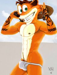 crash bandicoot from crash (series) by s-o-husky
