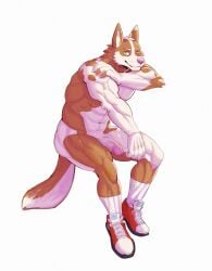 absurd_res anthro athletic athletic_anthro athletic_male canid canine canis clothing domestic_dog footwear footwear_only foreskin fur genitals hi_res humanoid_genitalia kemono looking_at_viewer male mammal mostly_nude multicolored_body multicolored_fur nude nude_anthro nude_male peapeafur penis pink_nose pointy_ears shoes shoes_only sneakers sneakers_only socks solo tan_body tan_fur two_tone_body two_tone_fur white_body white_fur