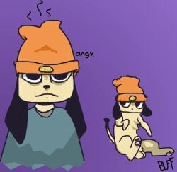 animal_genitalia anthro beanie big_ears brown_body brown_fur buffalonium canid canine canis clothing digitigrade domestic_dog ears_down feral fully_sheathed fur genitals hat headgear headwear male mammal markings parappa parappa_the_rapper pawpads pivoted_ears sheath shirt solo sony_corporation sony_interactive_entertainment tail_markings topwear tuft video_games