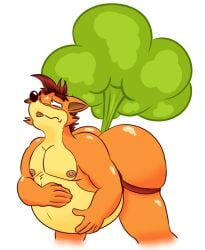 1boy 2017 ass bandicoot belly crash_(series) crash_bandicoot crashwolf fart fart_fetish furry furry_only jockstrap male male_fart male_only marsupial nipples simple_background solo video_games white_background