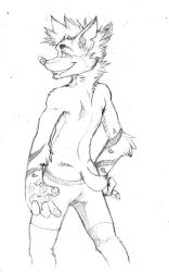 crash bandicoot from crash (series) by arody