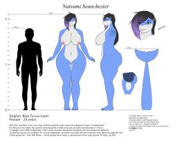 1girls anon anthro character_sheet dolphin dolphysoul female natsumi_(dolphysoul) reference_image