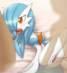 1girls 2boys censored fellatio female female_gardevoir female_pokemon gardevoir handjob male male/female nintendo pokémon_(species) pokemon pokemon_(species) pokemon_rse shiny_gardevoir shiny_pokemon tagme three-finger_handjob