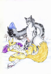 anthro color cum darkravenstear day digimon female fur furry interspecies male nude outdoors renamon snow straight tagme