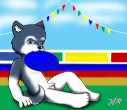 anthro day dog frisbee husky male male_only mouth_hold nintendogs nude outdoors penis side_view sitting small_penis solo tagme