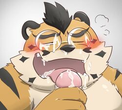 2020 anthro blush bodily_fluids cum cum_on_face cute_fangs eyewear felid genital_fluids genitals glasses hi_res hon55728 kemono licking male male/male mammal oral overweight overweight_male pantherine penile penis penis_lick sex solo_focus tiger tongue tongue_out