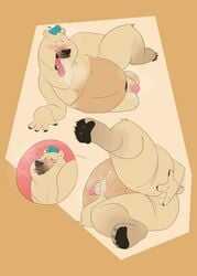 absurd_res anal anal_masturbation anthro balls genitals hi_res luccio_antartica male male_only mammal masturbation nude overweight overweight_anthro overweight_male penis polar_bear solo thatyellowrad ursid ursine