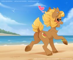 amaichix anus ass beach_ball_(character) blush earth_pony equid equine female feral friendship_is_magic genitals hasbro hi_res horse looking_at_viewer mammal my_little_pony pony pussy solo