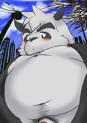 2008 absurd_res anthro belly blush ganson genitals giant_panda hi_res kemono male male_only mammal nipples outside overweight overweight_anthro overweight_male penis pubes solo ursid