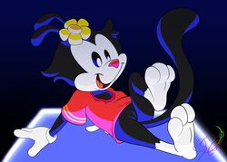 absurd_res animaniacs anthro bottomless breasts clothed clothing domestic_cat dot_warner felid feline felis female hi_res inkblot lobofeo mammal pinup_pose solo spread_legs spreading wallpaper warner_brothers