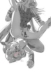 gyro zeppeli from jojo's bizarre adventure