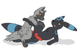 3:2 anal anal_sex animated balls candyumbry duo eeveelution feral feral_on_feral genitals hi_res long_tail male male/male male_penetrated male_penetrating male_penetrating_male nintendo penetration penis pokémon_(species) pokemon pokemon_(species) poochyena sex short_playtime umbreon video_games