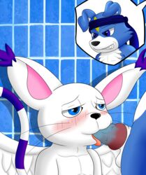 angelgatomon_(angelgato) anthro blowjob blush digimon digimon_(species) dracky_the_gaomon fellatio feral fur furry gaomon gatomon gay male male/male penis sveemon whiskers yaoi