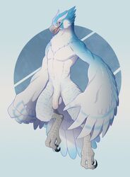 anthro avian balls beak bird bird_feet blue_body blue_feathers breath_of_the_wild essence_of_rapture fan_character feathers flaccid genitals hi_res humanoid_penis male nintendo nude open_mouth penis rito solo talons the_legend_of_zelda video_games white_body white_feathers winged_arms wings