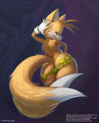 feminine tails from sega by totesfleisch8