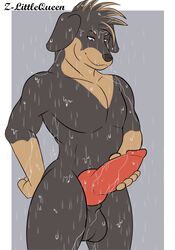 animal_genitalia animal_penis anthro balls big_balls big_penis canid canine canine_penis canis domestic_dog erection genitals hi_res knot male mammal masturbation muscular muscular_anthro muscular_male penis smile solo wet wet_body z-littlequeen