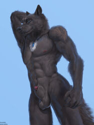 2020 3:4 5_fingers abs absurd_res anatomically_correct anatomically_correct_genitalia anatomically_correct_penis animal_genitalia animal_penis anthro areola balls bedroom_eyes biceps biped black_body black_fur black_nose blue_background blue_eyes canid canine canine_penis canis cheek_tuft claws digital_media_(artwork) facial_tuft fingers fluffy fluffy_tail fur genitals hand_behind_head hi_res jewelry looking_at_viewer male mammal markings muscular muscular_anthro muscular_male narrowed_eyes navel neck_tuft necklace nipples nude pecs pendant penis penis_tip portrait pose seductive sheath simple_background smile smirk solo sonic_wolfe text three-quarter_portrait tuft url virtyalfobo white_body white_fur white_markings wolf