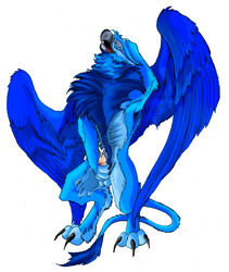 eyrie male_only neopets tagme