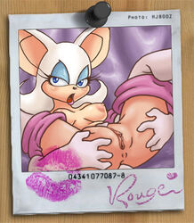 hj800z rouge_the_bat sonic_(series) tagme