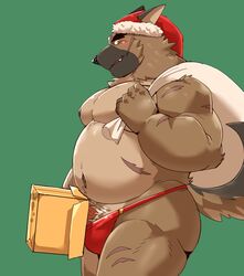 2020 absurd_res anthro belly black_nose brown_body brown_fur bulge canid canine canis christmas christmas_clothing christmas_headwear clothing dick_in_a_box domestic_dog fur furry_only genitals green_background hat headgear headwear hi_res holidays jumperbear kemono male mammal moobs nipples overweight overweight_anthro overweight_male penis santa_hat simple_background solo tokyo_afterschool_summoners underwear video_games yasuyori