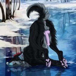 1:1 2024 animal_genitalia animal_penis anus artist_name black_body black_fur brown_eyes canid canine canine_genitalia canine_penis cheek_tuft closed_smile dated erection facial_tuft feral fur genitals grey_body grey_fur hi_res ice leg_tuft lying male mammal mouth_closed msdeadsoul narrowed_eyes neck_tuft on_front outside pawpads penis pink_anus pink_pawpads pink_penis plant reflection side_view smile snow solo text tree tuft