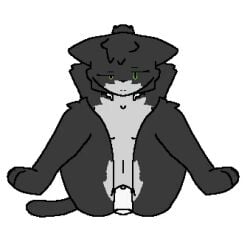 1:1 animated anthro asymmetrical_eyes bad5001 domestic_cat duo felid feline felis female fur green_eyes hair hair_bun hands_behind_back loop low_res male male/female mammal multicolored_body multicolored_fur night_tsukimoto_(bad5001) penetration short_playtime simple_background solo_focus tail tail_motion tailwag tuxedo_cat two_tone_body two_tone_fur vaginal_penetration vaginal_penetration