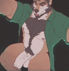 anthro balls beard belly_hair black_sclera blue_eyes body_hair bottomless bottomless_anthro bottomless_male canid canine chest_hair clothed clothing digital_drawing_(artwork) digital_media_(artwork) eyebrows facial_hair flaccid foreskin fox genitals happy_trail hi_res humanoid_genitalia humanoid_penis looking_at_viewer male mammal mature_anthro mature_male mr_nellory muscular muscular_anthro muscular_male one_eye_closed pecs penis selfie shirt shirt_only smile smiling_at_viewer solo thick_eyebrows thick_thighs tongue tongue_out topwear topwear_only vein veiny_penis vlad_(nellory)