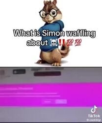 meme not_porn shitpost tagme video