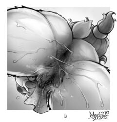 2025 absurd_res anthro anus areola ass big_areola big_breasts bodily_fluids border bottomwear bovid breasts caprine clothed clothing digital_media_(artwork) female fur genital_fluids genitals goat grey_background greyscale hair hi_res ineffective_clothing ineffective_loincloth inverted_nipples loincloth loincloth_only long_hair low-angle_view mammal mature_anthro mature_female meesop monochrome musk musk_clouds nipples no_underwear nora_(crabbyhag) open_mouth pubes pussy pussy_tuft scut_tail short_tail signature simple_background solo sweat sweat_string sweaty_butt sweaty_genitalia sweaty_legs sweaty_pussy sweaty_thighs tail thick_thighs topless vaginal_fluids white_border worm's-eye_view