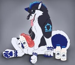 animal_genitalia animal_penis balls big_penis black_body black_fur black_nose blue_body blue_eyes blue_fur blue_hair blue_markings blue_pawpads bodily_fluids bottle canid canine canine_genitalia canine_penis canis container cum domestic_dog erection fangs feral fur genital_fluids genitals grey_background hair hi_res holding_bottle holding_container holding_object husky killthe_demon knot looking_at_viewer male mammal markings midas_(incubi) open_mouth pawpads penis pink_tongue red_penis saliva saliva_string semi-anthro short_hair simple_background sitting solo teeth tongue tongue_out white_balls white_body white_fur