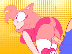 amy rose from sonic (series) by leahth sins