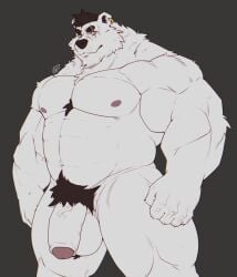 abs anthro balls barazoku bear big_balls big_penis black_hair blue_eyes body_hair chest_hair digital_drawing_(artwork) digital_media_(artwork) ear_piercing ear_ring eye_scar eyebrow_scar eyebrows facial_scar flaccid fur furry genitals grey_background hair hairy_balls hi_res humanoid_genitalia humanoid_penis looking_at_viewer male mammal mr_nellory muscular muscular_anthro muscular_male nipples pecs penis piercing polar_bear pubes ring_piercing scar simple_background solo thick_thighs ursine watermark white_body white_fur