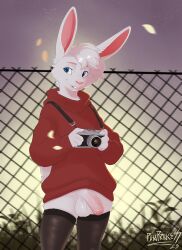 absurd_res anthro balls bottomless camera clothed clothing femboy flaccid footwear foreskin fur genitals hi_res humanoid_genitalia humanoid_penis lagomorph legwear leporid male mammal outside pawprincess penis rabbit socks stockings thigh_highs white_body white_fur