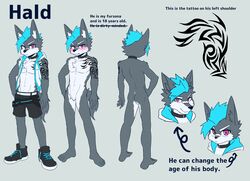 anthro athletic athletic_anthro athletic_male band-aid bandage blush bodily_fluids canid canine clothed clothing collar furry_only hald_(manadezimon) hi_res male mammal manadezimon model_sheet multiple_poses open_clothing open_topwear open_vest pecs pose solo sweat tattoo teenager topwear v-cut vest young