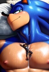 Sonic (Series) Rule 34 Image