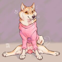panama (hakudoge) fan art