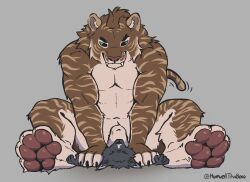 anthro brown_pawpads coal_(samt517) dipstick_ears duo ear_markings felid grimace howellthabear kurroe male male/male mammal multicolored_ears musclegut muscular pawpads paws pinned pinned_by_hand pinned_to_ground prehistoric_species saber-toothed_tiger sitting sitting_on_another size_difference slightly_chubby smile smirk smirking_at_another tail tail_motion tailwag weight_difference