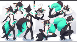 2_tails absurd_res anthro balls biped black_body canid canine canis domestic_cat feet felid feline felis genitals hi_res humanoid hybrid letterbox lev_(character) lev_(xeono) male male_only mammal model_sheet multi_tail open_mouth original pawpads paws penis solo solo_male white_body wolf xeono