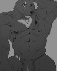 2020 abs anthro big_bulge big_muscles black_nipples bulge canid canine canis clothed clothing greyscale hi_res jockstrap looking_at_viewer male male_only mammal monochrome muscular muscular_anthro muscular_arms muscular_male nipples pecs silver_fang solo topless_male underwear underwear_only wolf zawn