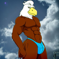 1:1 abs accipitrid accipitriform anthro avian bald_eagle biceps big_muscles biped bird brown_body brown_feathers bulge clothed clothing cloud digital_media_(artwork) eagle fabfelipe feathers hair hi_res looking_at_viewer male male_only muscular muscular_anthro muscular_male outside panties pecs photo_background pose sea_eagle sky solo standing topless underwear white_body white_feathers yellow_eyes